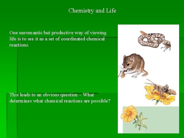 Chemistry and Life One unromantic but productive way of viewing life is to see