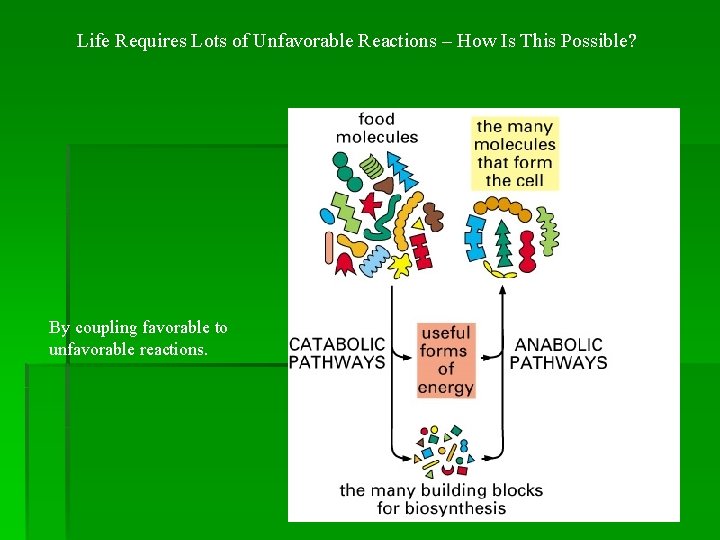 Life Requires Lots of Unfavorable Reactions – How Is This Possible? By coupling favorable