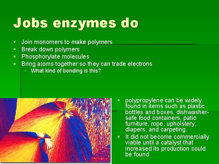 Jobs enzymes do § § Join monomers to make polymers Break down polymers Phosphorylate