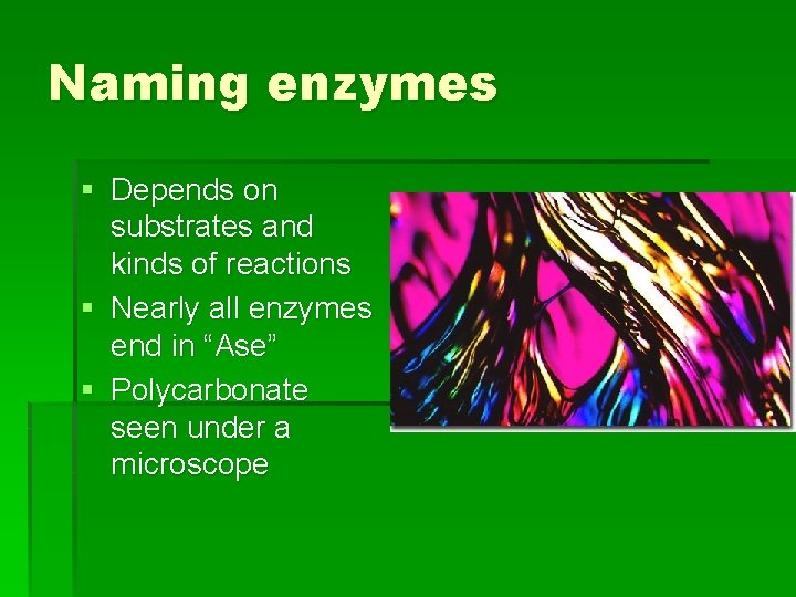 Naming enzymes § Depends on substrates and kinds of reactions § Nearly all enzymes