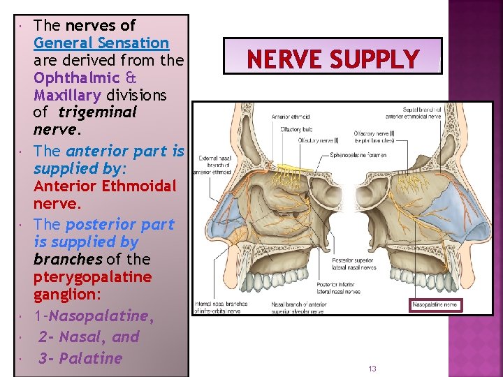  The nerves of General Sensation are derived from the Ophthalmic & Maxillary divisions