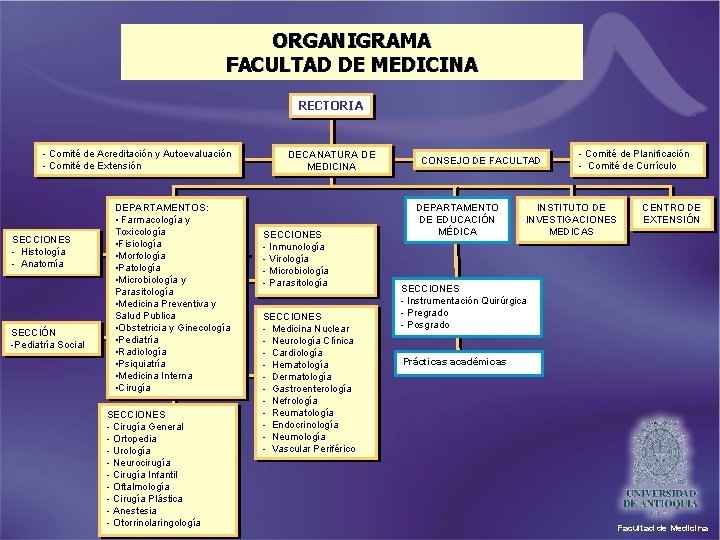 ORGANIGRAMA FACULTAD DE MEDICINA RECTORIA - Comité de Acreditación y Autoevaluación - Comité de