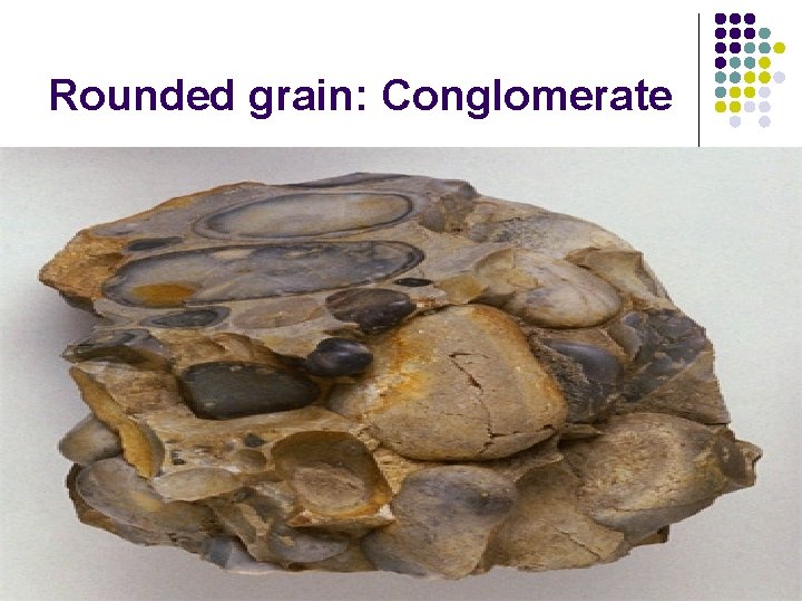 Rounded grain: Conglomerate 