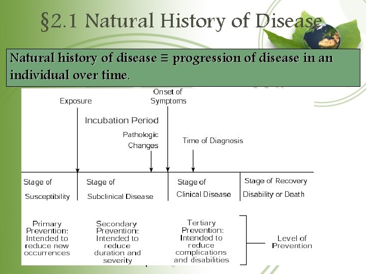 § 2. 1 Natural History of Disease Natural history of disease ≡ progression of