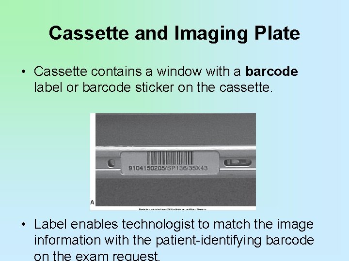 Cassette and Imaging Plate • Cassette contains a window with a barcode label or