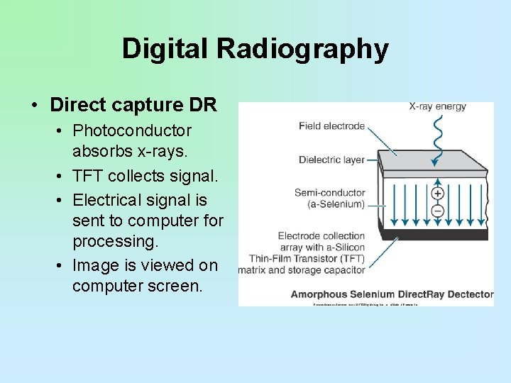 Digital Radiography • Direct capture DR • Photoconductor absorbs x-rays. • TFT collects signal.
