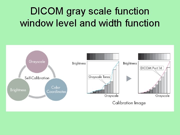 DICOM gray scale function window level and width function 