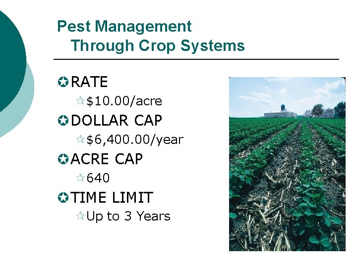 Pest Management Through Crop Systems µRATE ¶$10. 00/acre µDOLLAR CAP ¶$6, 400. 00/year µACRE