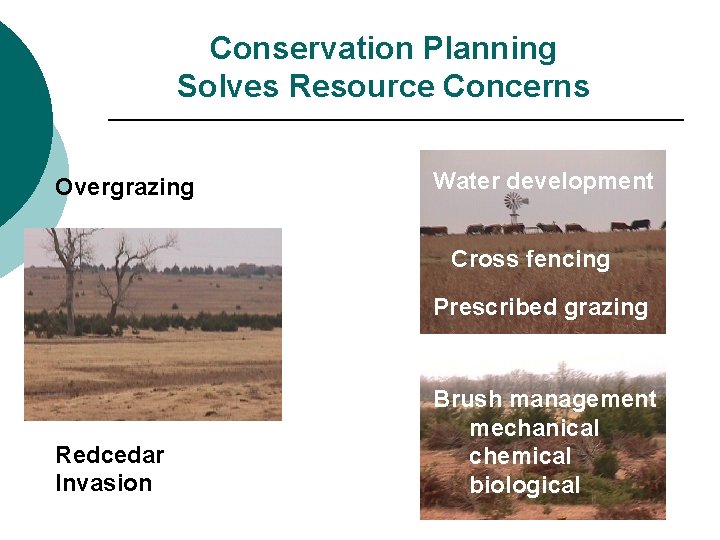 Conservation Planning Solves Resource Concerns Overgrazing Water development Cross fencing Prescribed grazing Redcedar Invasion