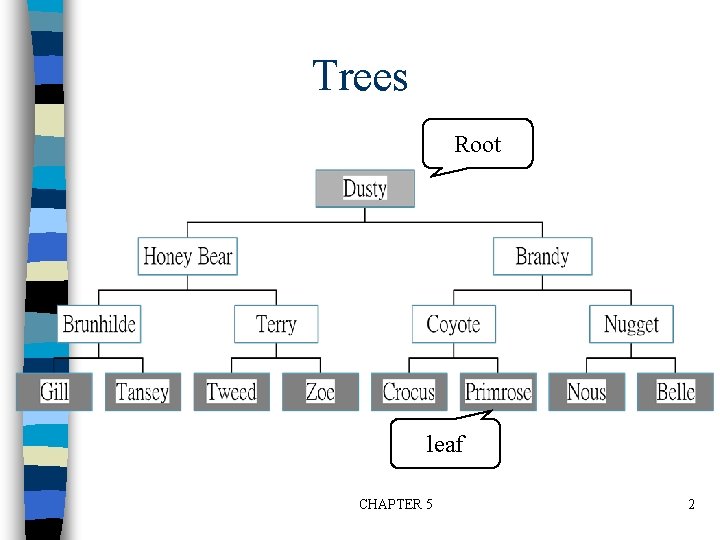 Trees Root leaf CHAPTER 5 2 