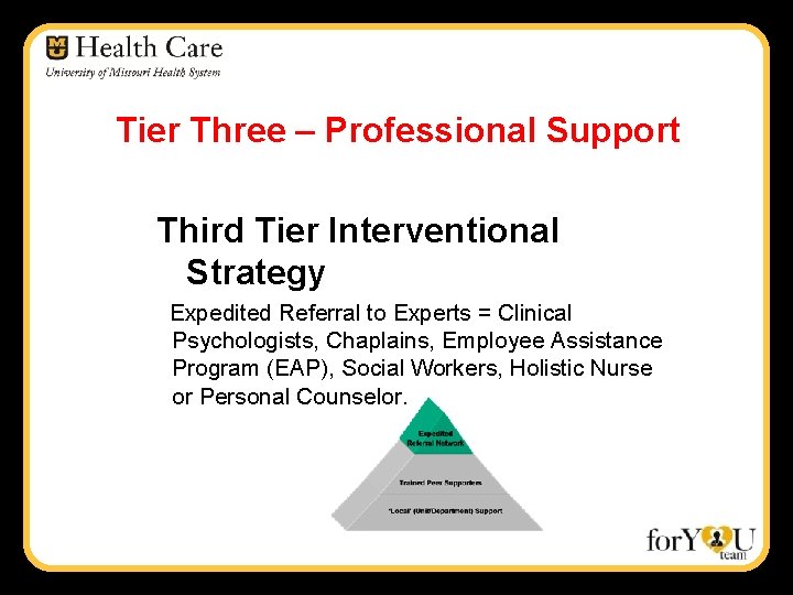 Tier Three – Professional Support Third Tier Interventional Strategy Expedited Referral to Experts =