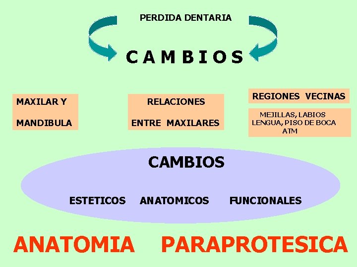 PERDIDA DENTARIA CAMBIOS MAXILAR Y RELACIONES MANDIBULA ENTRE MAXILARES REGIONES VECINAS MEJILLAS, LABIOS LENGUA,