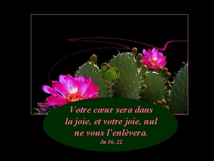 Votre cœur sera dans la joie, et votre joie, nul ne vous l’enlèvera. Jn