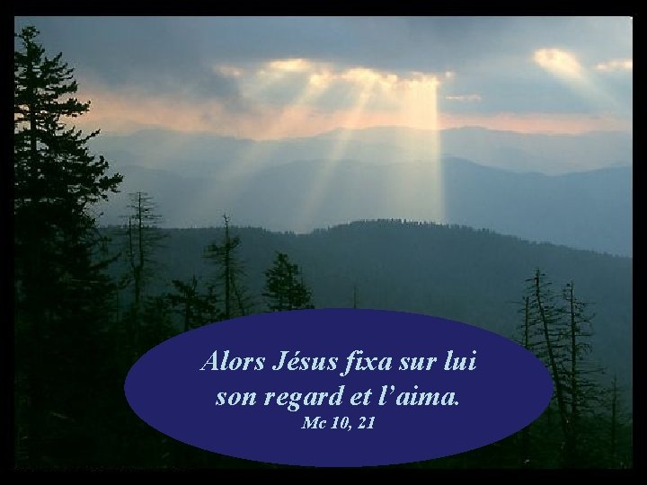 Alors Jésus fixa sur lui son regard et l’aima. Mc 10, 21 