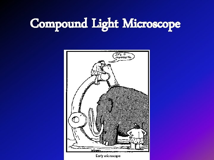 Compound Light Microscope 