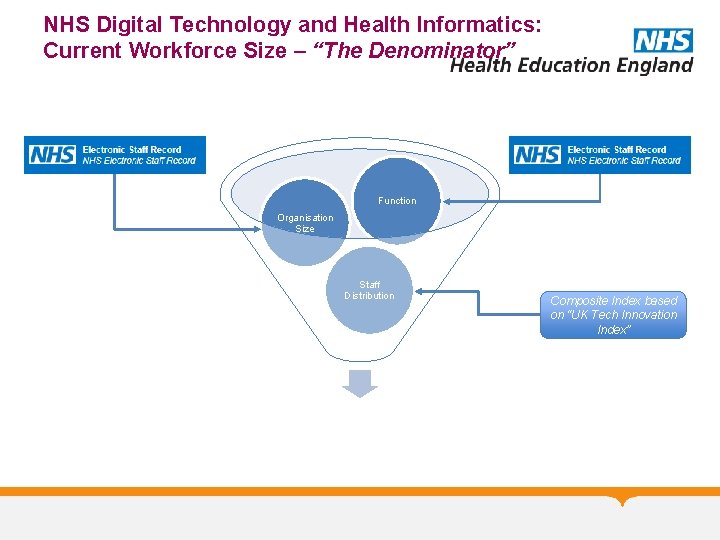 NHS Digital Technology and Health Informatics: Current Workforce Size – “The Denominator” Function Organisation