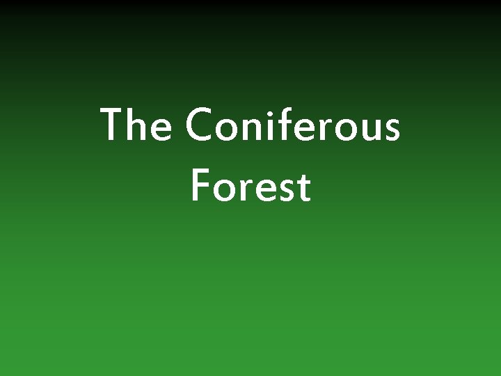 The Coniferous Forest 