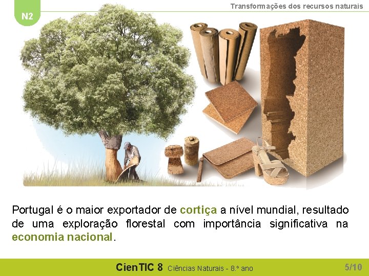 Transformações dos recursos naturais N 2 Portugal é o maior exportador de cortiça a