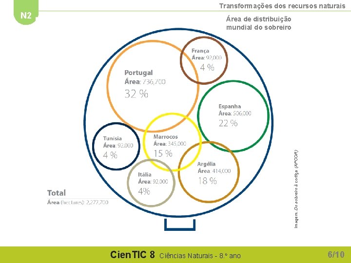 Transformações dos recursos naturais N 2 Imagem: Do sobreiro à cortiça (APCOR) Área de