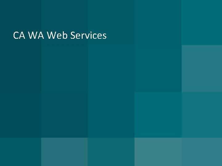 CA WA Web Services 