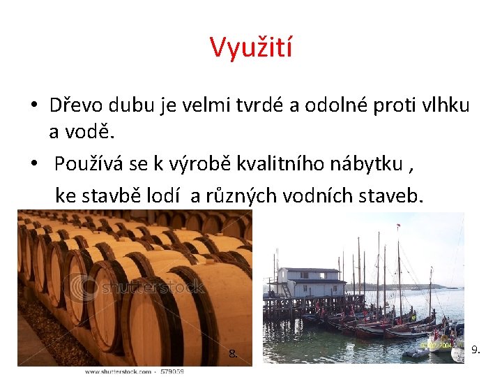 Využití • Dřevo dubu je velmi tvrdé a odolné proti vlhku a vodě. •