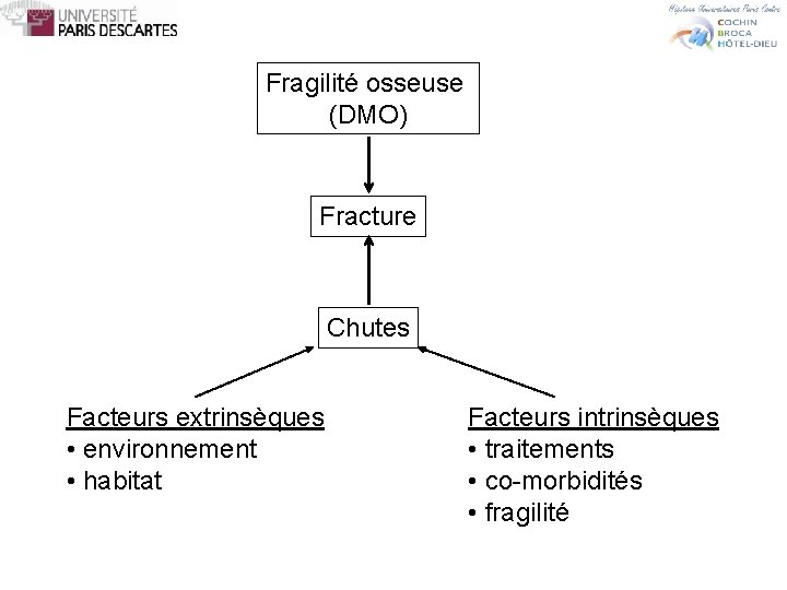 Fragilité osseuse (DMO) Fracture Chutes Facteurs extrinsèques • environnement • habitat Facteurs intrinsèques •