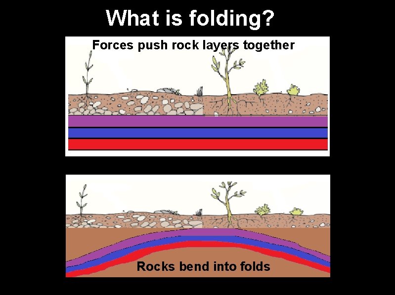 What is folding? Forces push rock layers together Rocks bend into folds 
