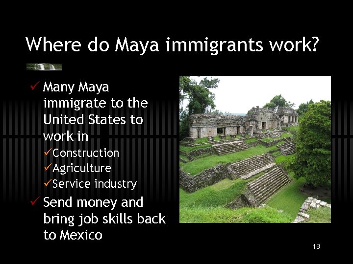 Where do Maya immigrants work? ü Many Maya immigrate to the United States to