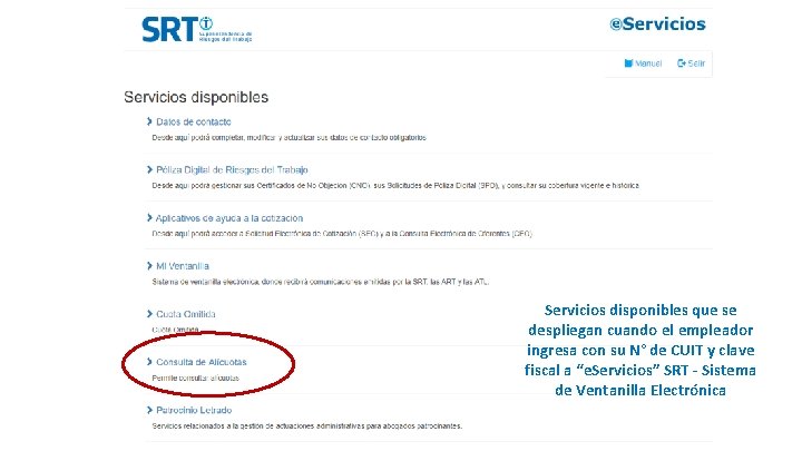 Servicios disponibles que se despliegan cuando el empleador ingresa con su N° de CUIT