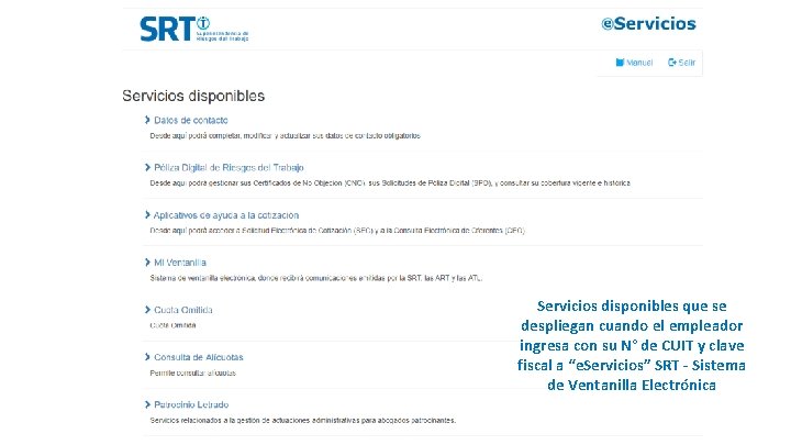 Servicios disponibles que se despliegan cuando el empleador ingresa con su N° de CUIT