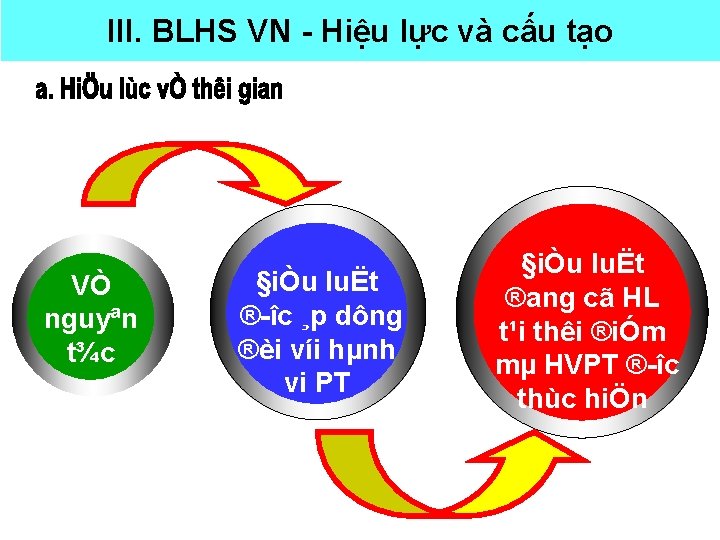 III. BLHS VN Hiệu lực và cấu tạo VÒ nguyªn t¾c §iÒu luËt ®