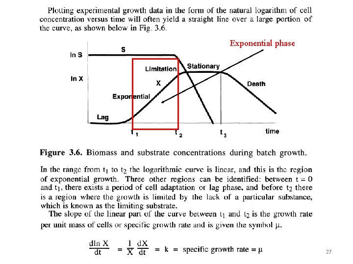 Exponential phase 27 