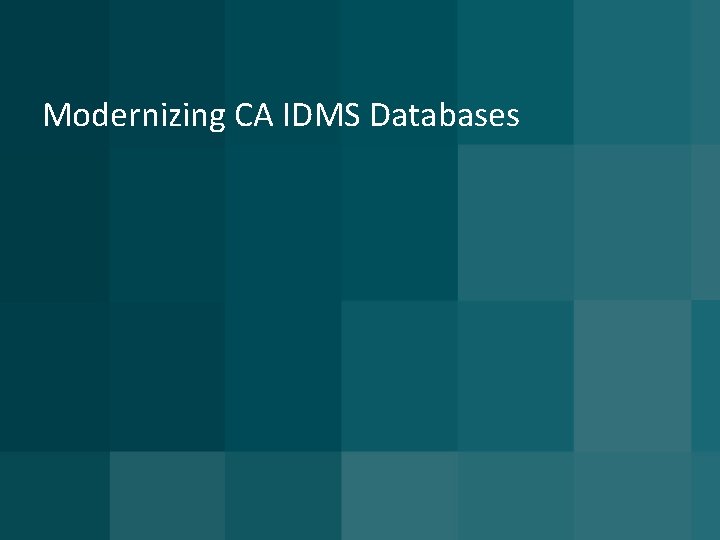 Modernizing CA IDMS Databases 