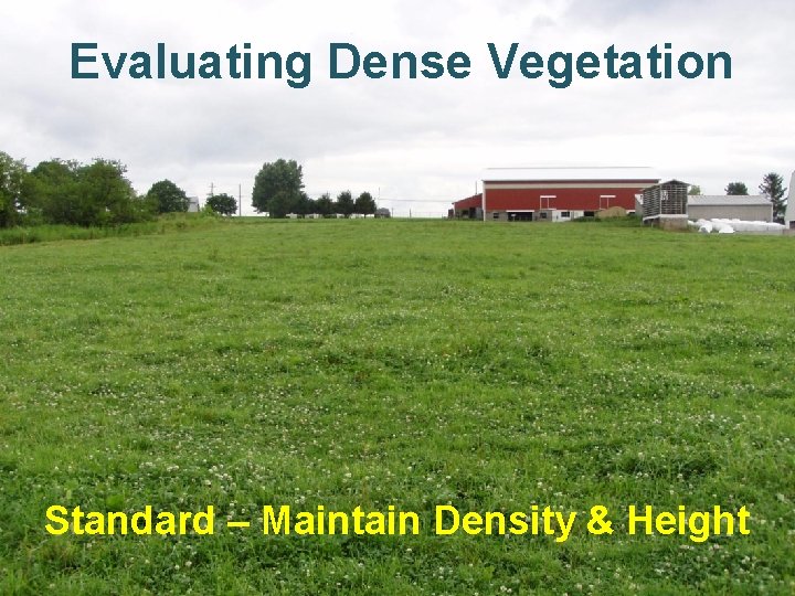 Evaluating Dense Vegetation Standard – Maintain Density & Height Evaluating Dense Vegetation Standard – Maintain Density & Height