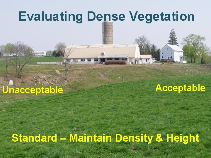 Evaluating Dense Vegetation Unacceptable Acceptable Standard – Maintain Density & Height Evaluating Dense Vegetation Unacceptable Acceptable Standard – Maintain Density & Height