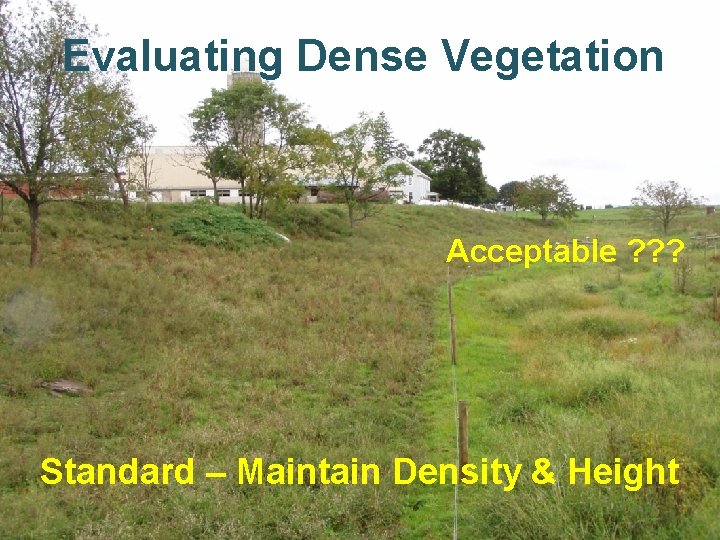 Evaluating Dense Vegetation Acceptable ? ? ? Standard – Maintain Density & Height Evaluating Dense Vegetation Acceptable ? ? ? Standard – Maintain Density & Height