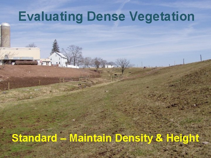 Evaluating Dense Vegetation Standard – Maintain Density & Height Evaluating Dense Vegetation Standard – Maintain Density & Height