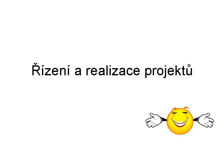 Řízení a realizace projektů 