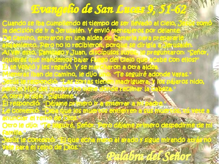 Evangelio de San Lucas 9, 51 -62 Cuando se iba cumpliendo el tiempo de