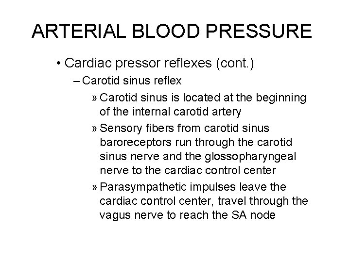 ARTERIAL BLOOD PRESSURE • Cardiac pressor reflexes (cont. ) – Carotid sinus reflex »