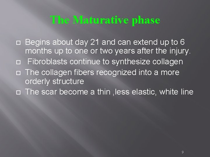 The Maturative phase Begins about day 21 and can extend up to 6 months The Maturative phase Begins about day 21 and can extend up to 6 months