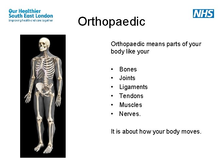 Orthopaedic means parts of your body like your • • • Bones Joints Ligaments Orthopaedic means parts of your body like your • • • Bones Joints Ligaments