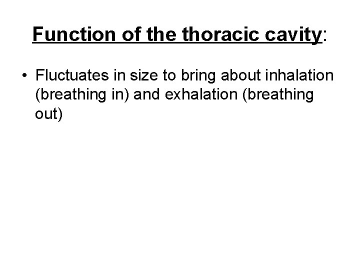 Function of the thoracic cavity: • Fluctuates in size to bring about inhalation (breathing