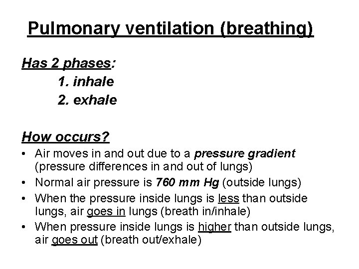 Pulmonary ventilation (breathing) Has 2 phases: 1. inhale 2. exhale How occurs? • Air