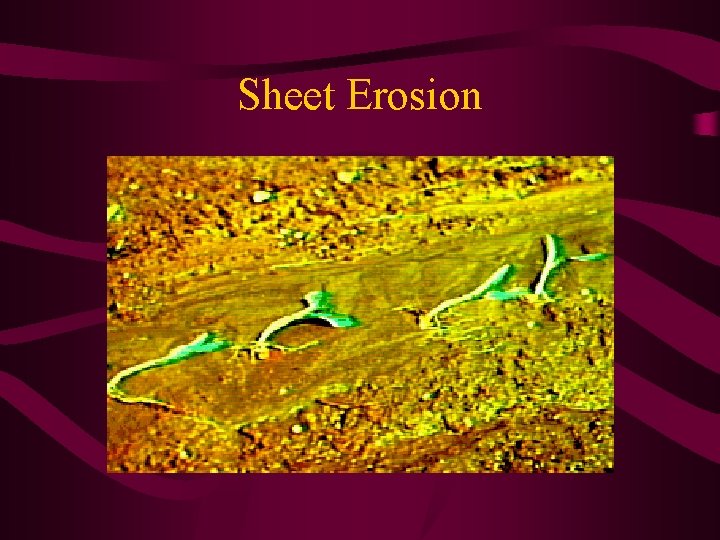 Sheet Erosion 