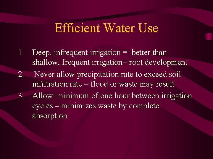 Efficient Water Use 1. Deep, infrequent irrigation = better than shallow, frequent irrigation= root