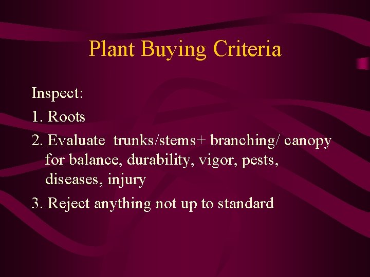 Plant Buying Criteria Inspect: 1. Roots 2. Evaluate trunks/stems+ branching/ canopy for balance, durability,