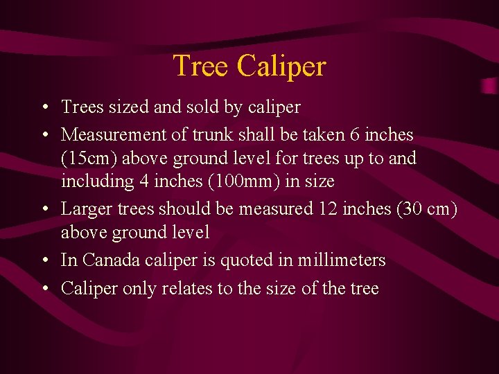 Tree Caliper • Trees sized and sold by caliper • Measurement of trunk shall