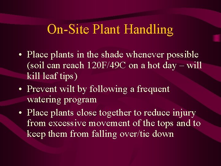 On-Site Plant Handling • Place plants in the shade whenever possible (soil can reach On-Site Plant Handling • Place plants in the shade whenever possible (soil can reach