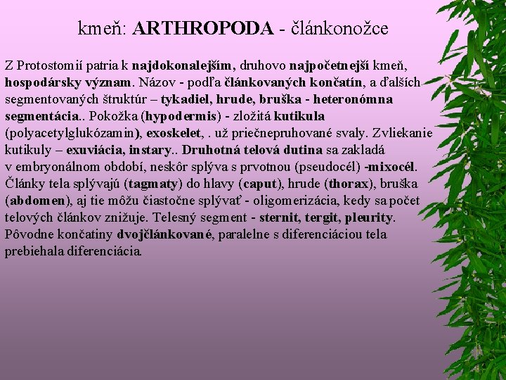 kmeň: ARTHROPODA - článkonožce Z Protostomií patria k najdokonalejším, druhovo najpočetnejší kmeň, hospodársky význam.